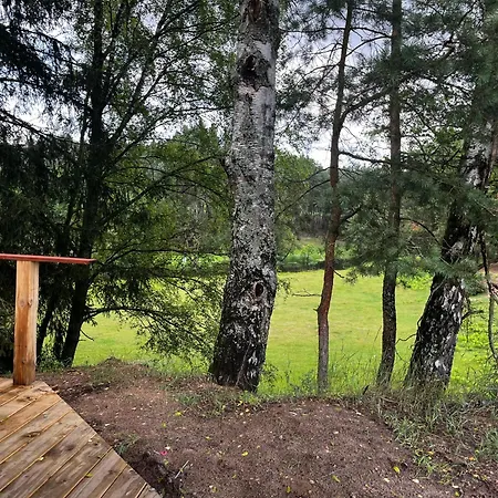 W Lesie Nad Rzeka Rolbik