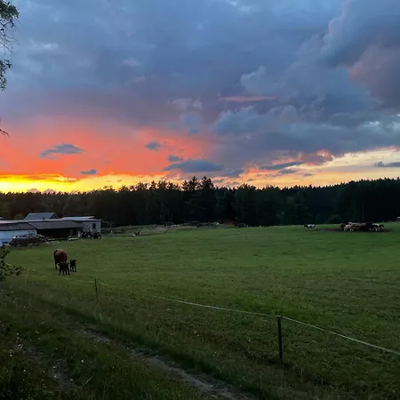 W Lesie Nad Rzeka Lejlighed *