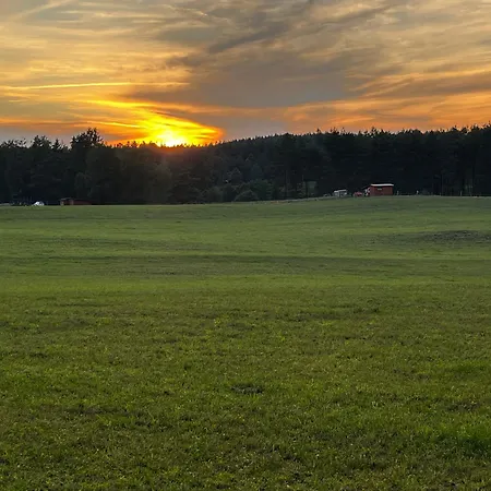 W Lesie Nad Rzeka Rolbik