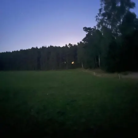 W Lesie Nad Rzeka Rolbik