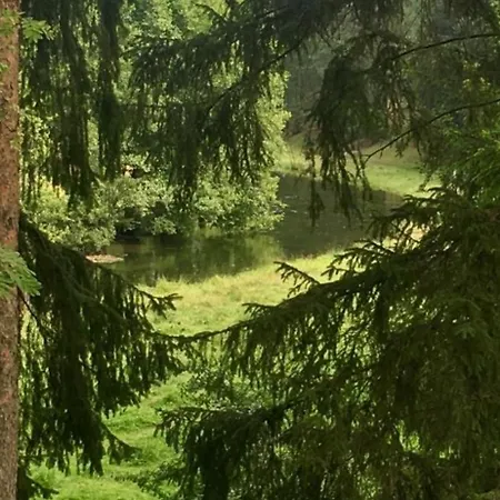 Lägenhet W Lesie Nad Rzeka Rolbik