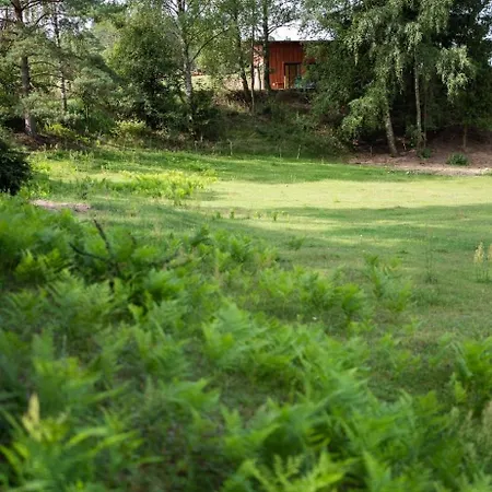 Apartment W Lesie Nad Rzeka *