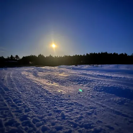 W Lesie Nad Rzeką Rolbik
