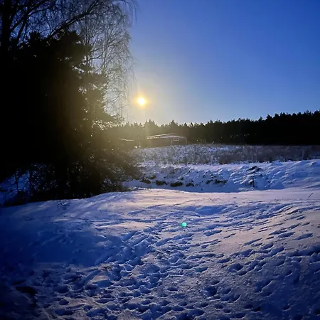 W Lesie Nad Rzeką *