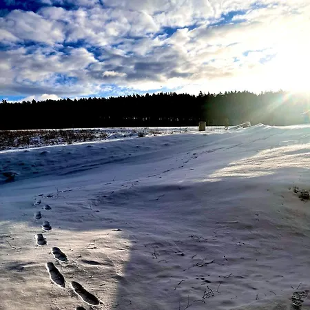 W Lesie Nad Rzeką Apartament *