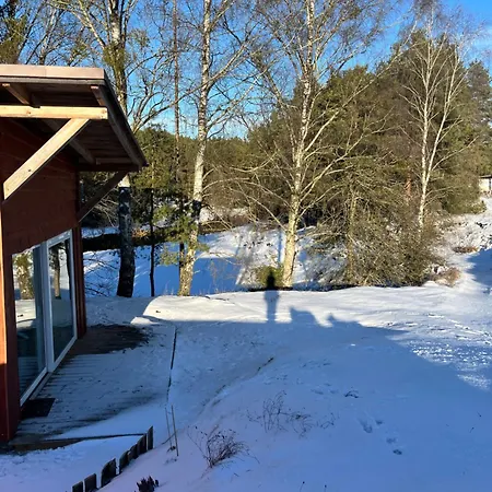 W Lesie Nad Rzeką * Rolbik