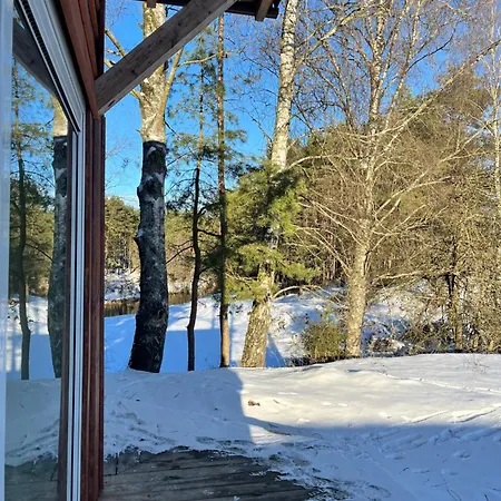 W Lesie Nad Rzeka Rolbik