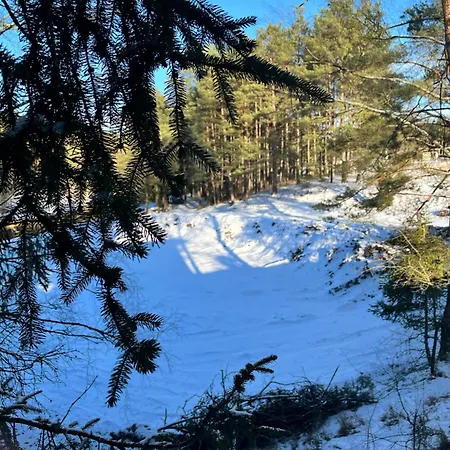 W Lesie Nad Rzeka * Rolbik