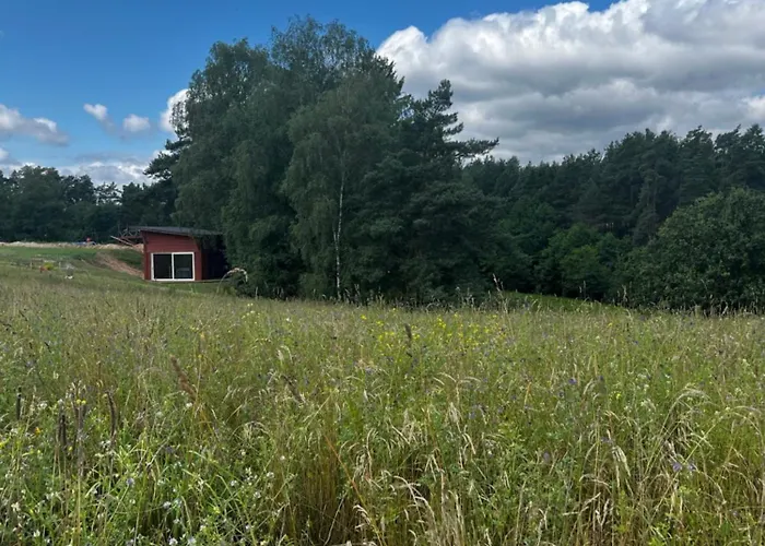 W Lesie Nad Rzeka Lejlighed