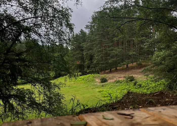 Lejlighed W Lesie Nad Rzeka Rolbik