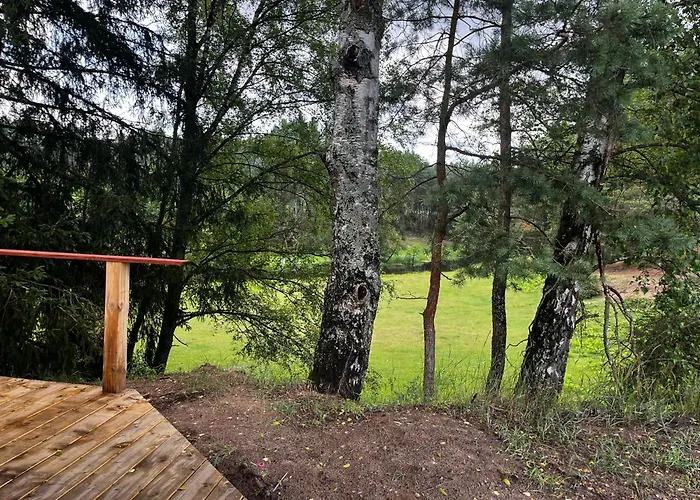 W Lesie Nad Rzeka Rolbik