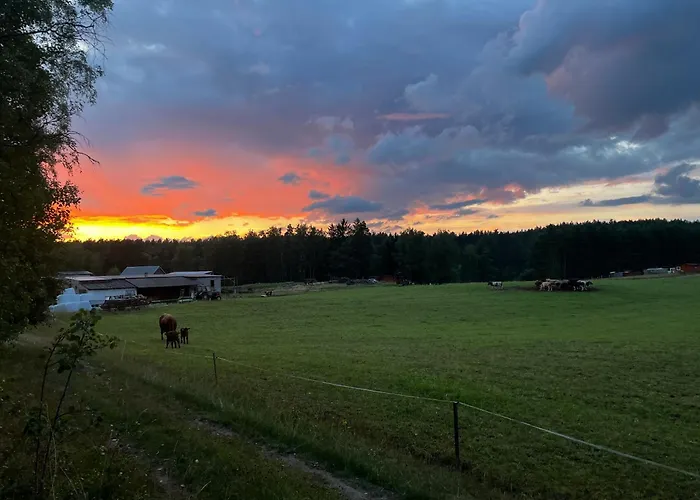 W Lesie Nad Rzeka Lejlighed *