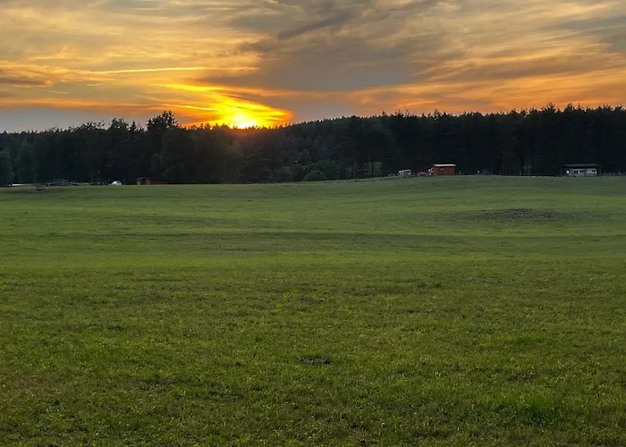 W Lesie Nad Rzeka Rolbik
